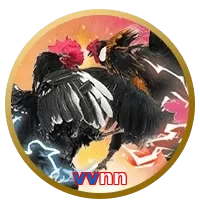 vvnn